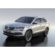 Пороги алюминиевые Rival Premium Black для Skoda Karoq 2020-2021